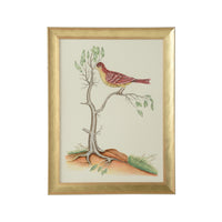 Chelsea House Watercolor Birds D