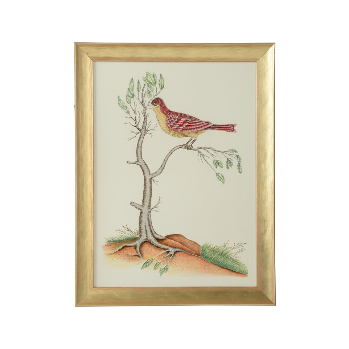 Chelsea House Watercolor Birds D