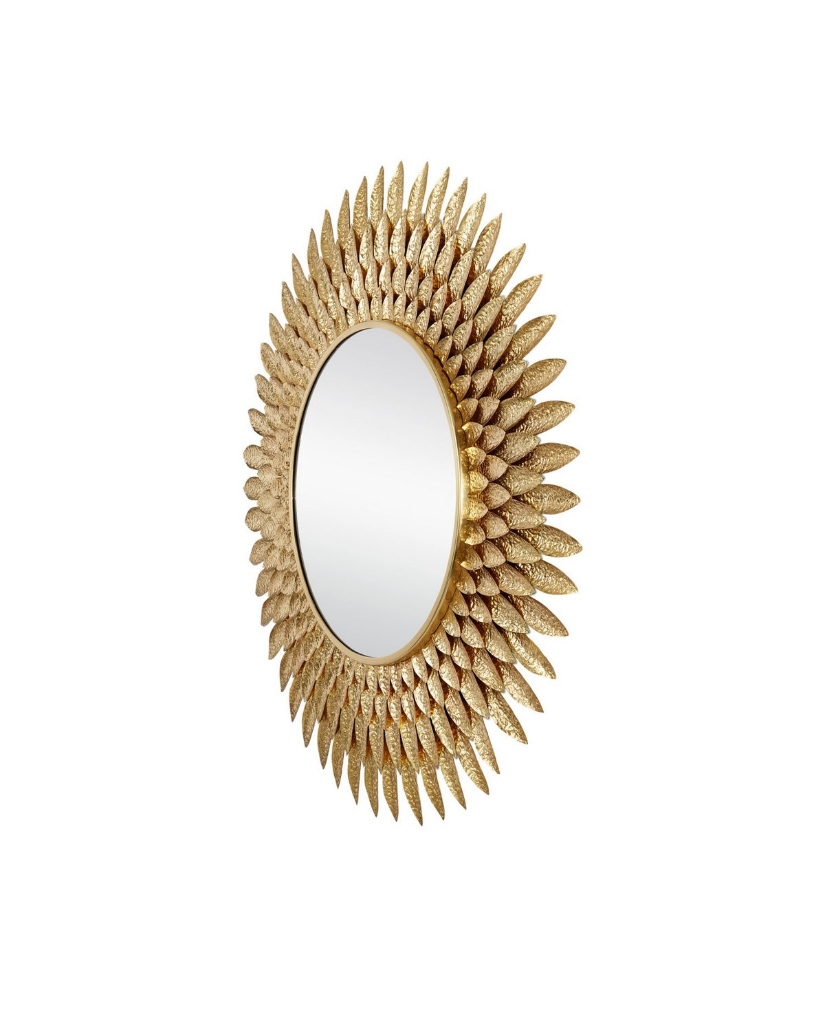 Currey and Company - 1000-0160 - Mirror - Plume - Brass