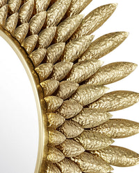 Currey and Company - 1000-0160 - Mirror - Plume - Brass