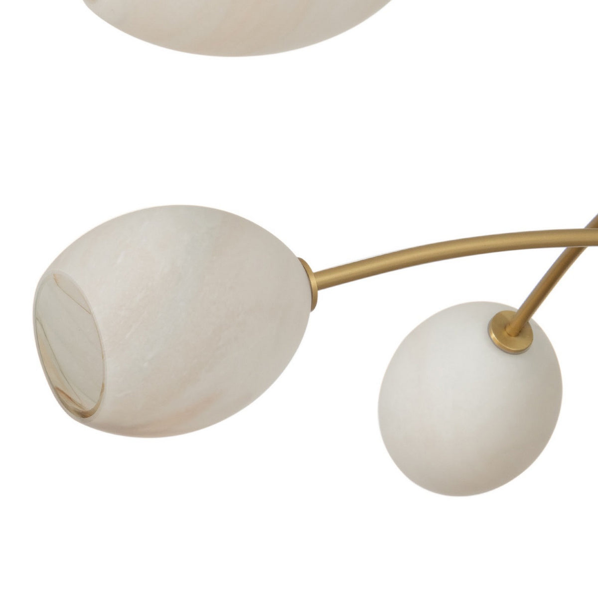 Regina Andrew - 16-1512NB-ALB - Six Light Chandelier - Artemis - Natural Brass