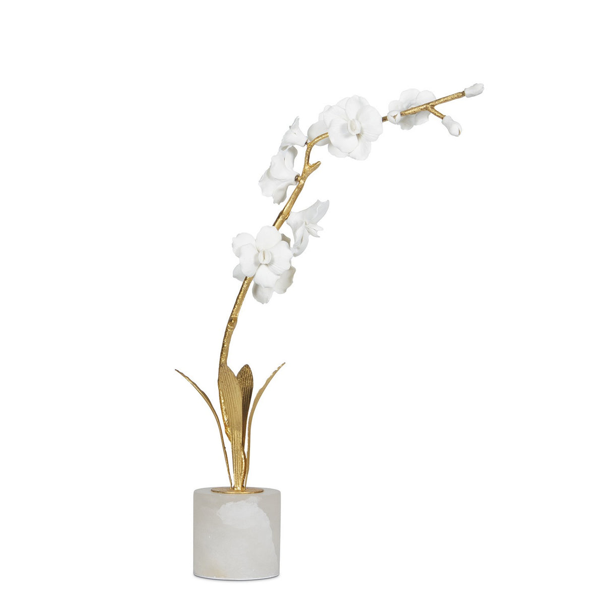 Regina Andrew - 20-1620 - Accessory 1 - Thylane - White