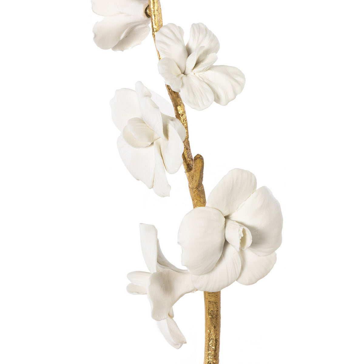 Regina Andrew - 20-1621 - Accessory 2 - Thylane - White