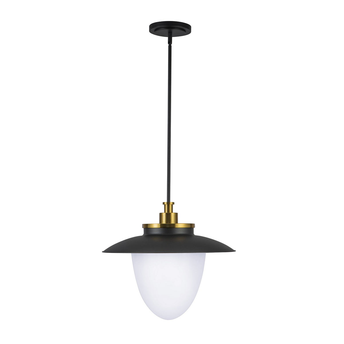 Artcraft - AC11906BB - Three Light Pendant - Dahlia - Brushed Brass