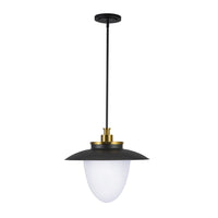 Artcraft - AC11906BB - Three Light Pendant - Dahlia - Brushed Brass