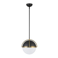 Artcraft - AC12040BB - One Light Pendant - Dahlia - Black, Brushed Brass