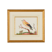 Chelsea House Yellow Wing/Rd Berry
