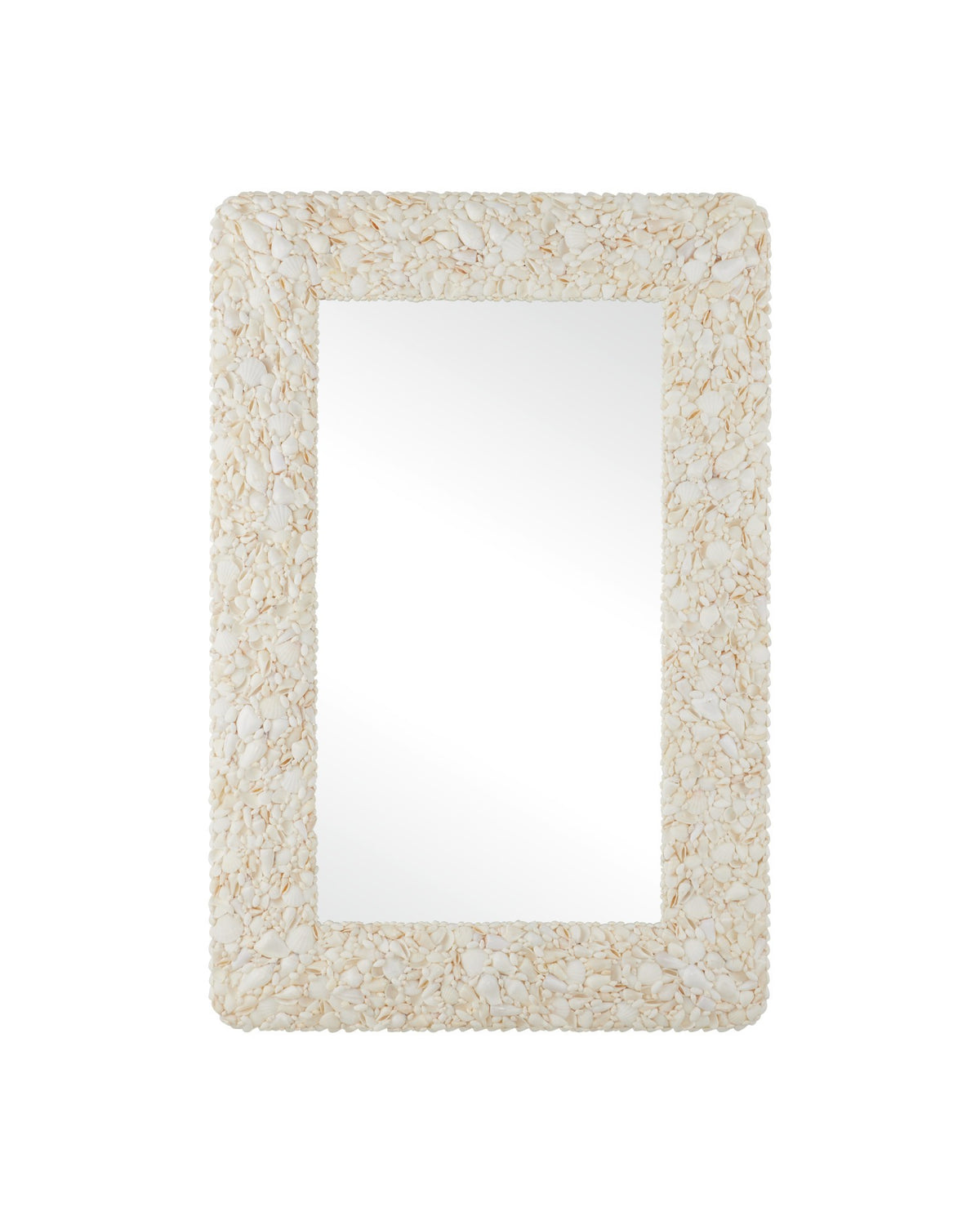 Currey and Company - 1000-0168 - Mirror - Turbinella - Natural