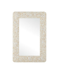 Currey and Company - 1000-0168 - Mirror - Turbinella - Natural
