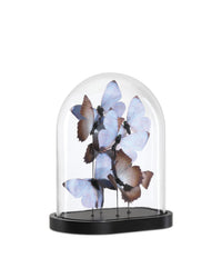 Currey and Company - 1200-0976 - Sculpture - Rue de Bac Butterflies - Lilac/Brown/Black/Clear