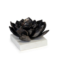 Sculpture from the Succulent collection in Blacken Zinc finish by Regina Andrew
