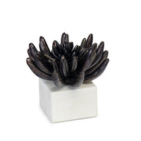 Regina Andrew - 20-1484BLKZ - Sculpture - Succulent - Blacken Zinc