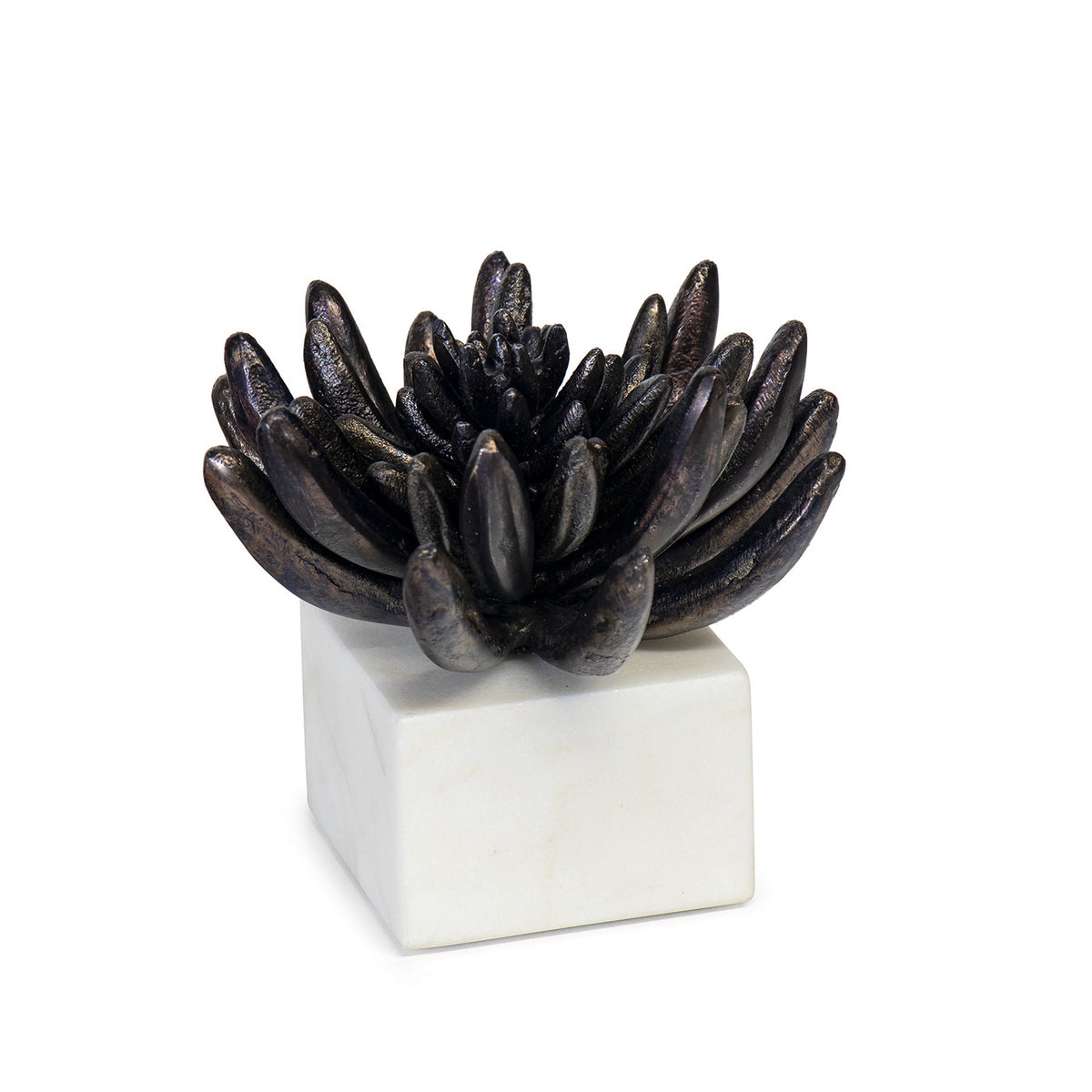 Regina Andrew - 20-1484BLKZ - Sculpture - Succulent - Blacken Zinc