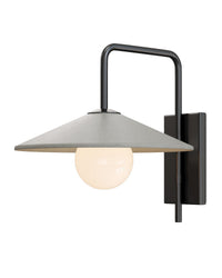 Currey and Company - 5500-0058 - One Light Wall Sconce - Bothy - Natural/Black/Frosted White