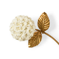 Chelsea House Hydrangea - Gold