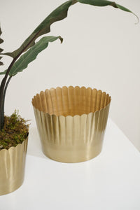 Design Shop Jacques Footed Pot 5.25"x 5.25", Set of 2