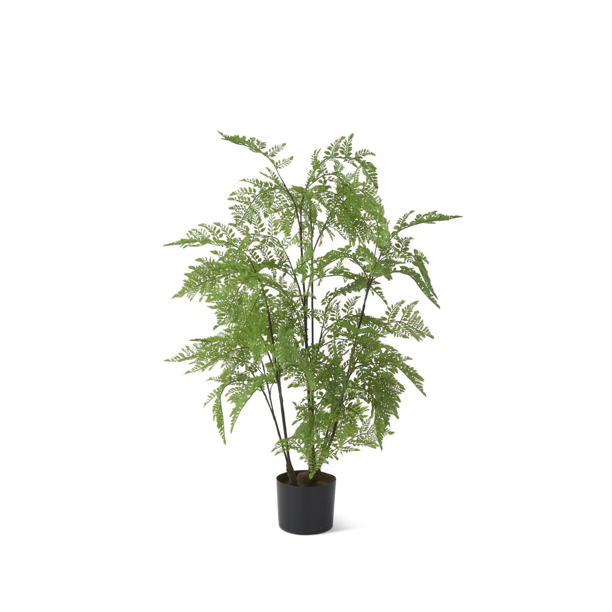 Design Shop 3 Foot Potted Fern Tree