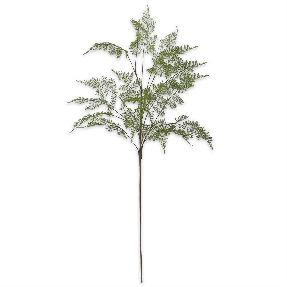 Design Shop 46 Inch Real Touch Lace Fern Spray