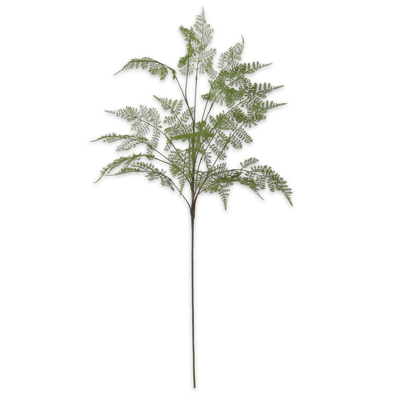 Design Shop 46 Inch Real Touch Lace Fern Spray