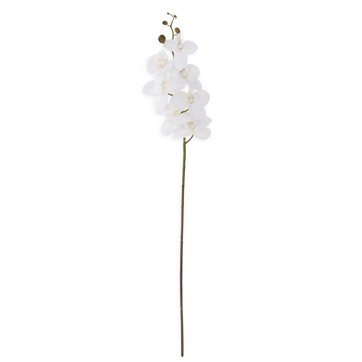 Design Shop 34.5 Inch White Orchid Stem