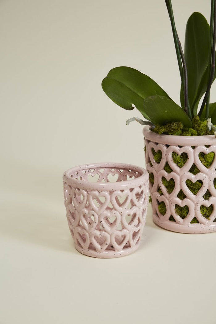 Design Shop Pink Cherished Hearts Orchid Pot, 5.25" X 5.25", Set of 2.