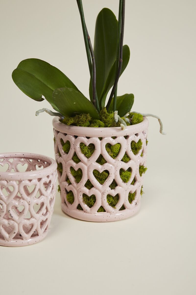 Design Shop Pink Cherished Hearts Orchid Pot, 7" X 7", Set of 2.