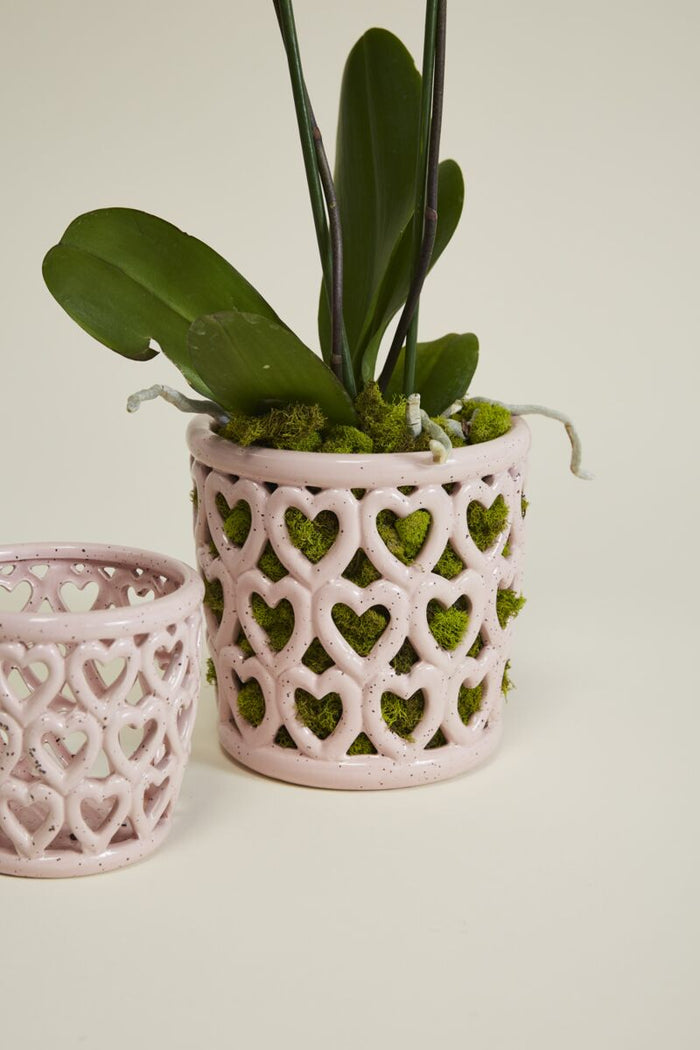 Design Shop Pink Cherished Hearts Orchid Pot, 7" X 7", Set of 2.