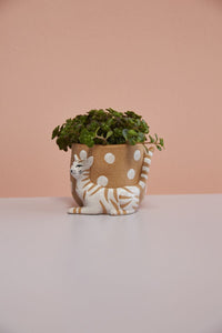 Design Shop Brown Pampered Pet Pot, 4.25" X 3.5", Set of 2.