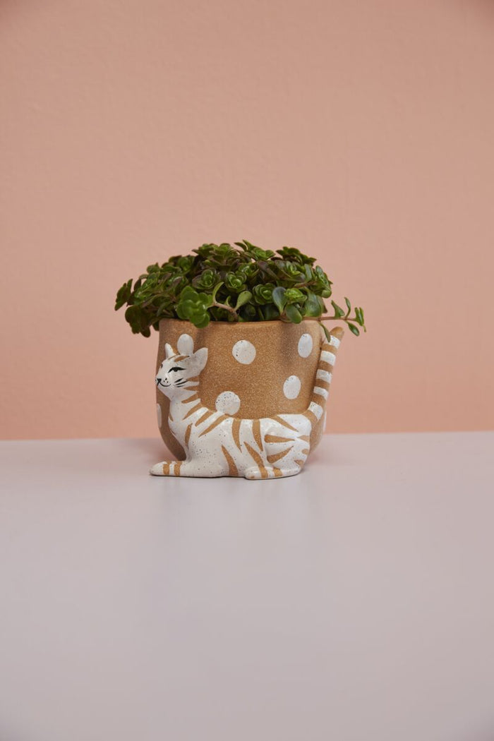 Design Shop Brown Pampered Pet Pot, 4.25" X 3.5", Set of 2.