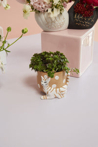 Design Shop Brown Pampered Pet Pot, 4.25" X 3.5", Set of 2.