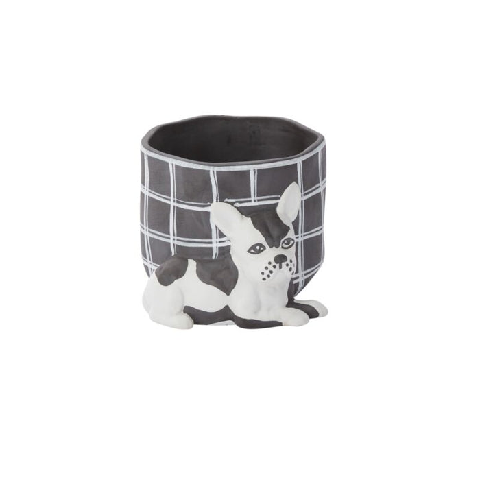 Design Shop Black Pampered Pet Pot, 5" X 3.5", Set of 2.