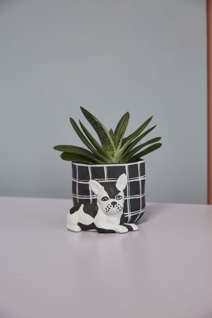 Design Shop Black Pampered Pet Pot, 5" X 3.5", Set of 2.
