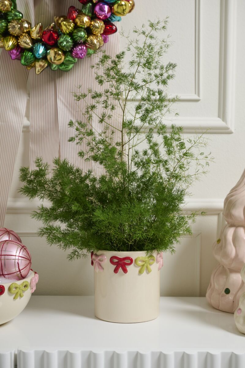 Design Shop Ribbonelle Pot 5.5"x 5.25"