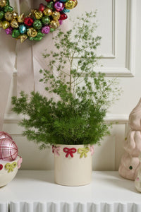 Design Shop Ribbonelle Pot 5.5"x 5.25"