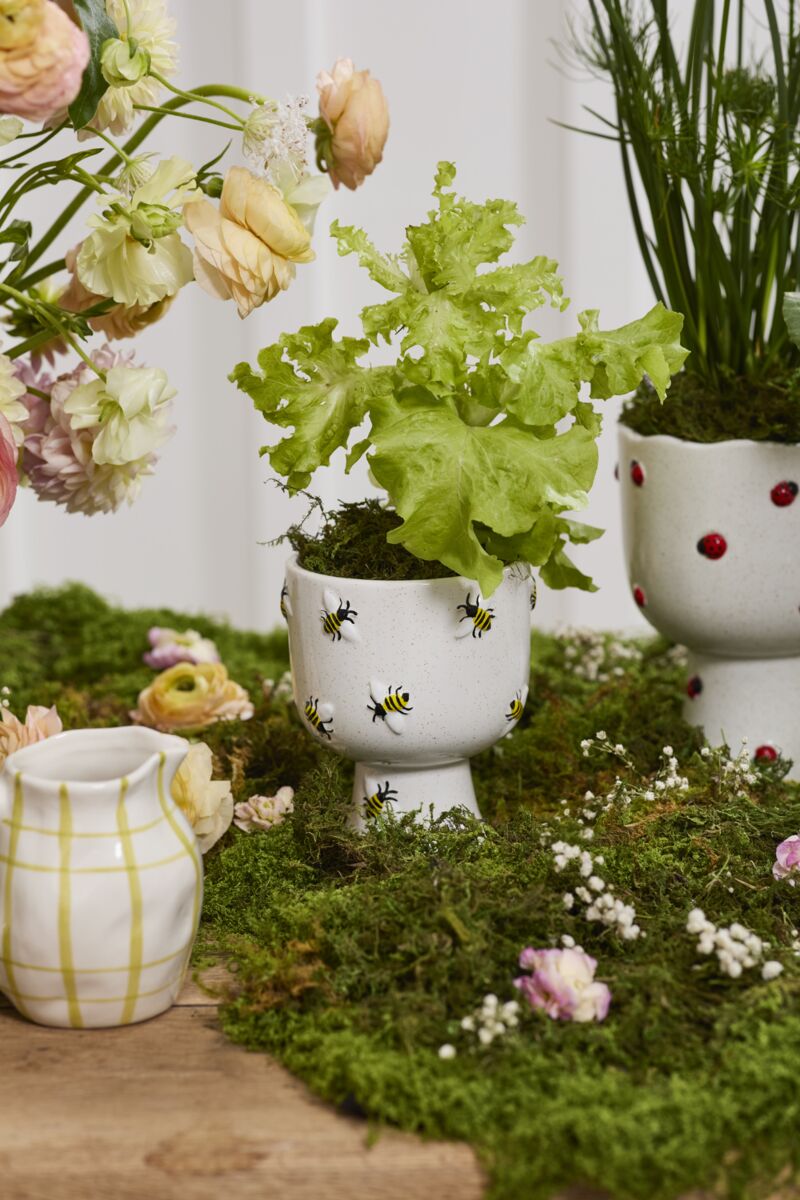 Design Shop Buzzy Compote 4.75"x 6", Set of 2
