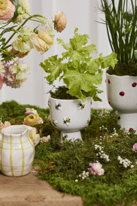 Design Shop Buzzy Compote 4.75"x 6", Set of 2