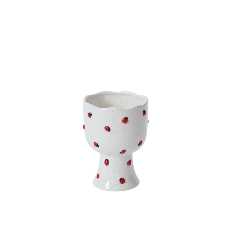 Design Shop Buzzy Compote 5.5"x 7.5", Set of 2