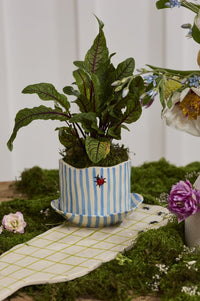 Design Shop Ladybug Pot with Saucer 6.5"x 4.5", Set of 2