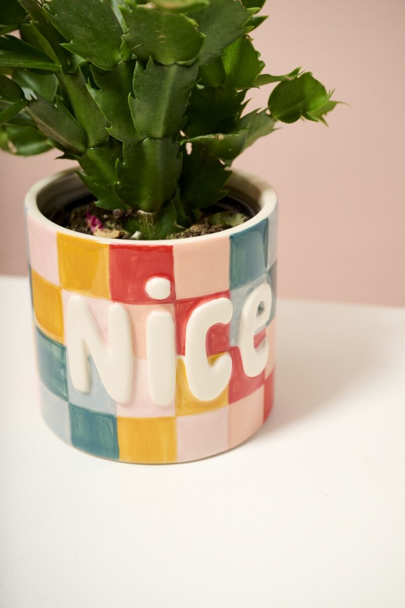 Design Shop E+E Hugger Set of 6 - 525"x 4.5"x 1.5"