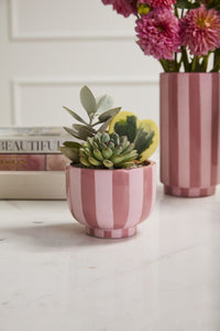 Design Shop Pink Striped Compote 4.5"x 3.5", Set of 2