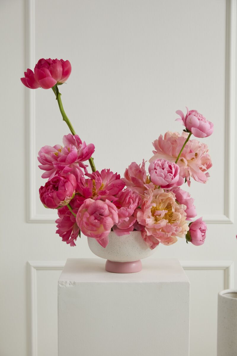 Design Shop Valeria Compote 8.25"x 5", Set of 2