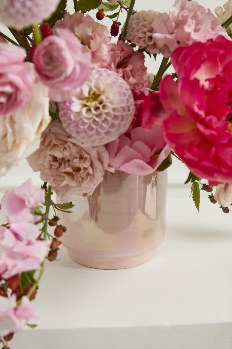 Design Shop Passion Pot 5"x 5", Set of 2