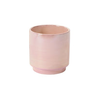 Design Shop Passion Pot 6"x 6", Set of 2
