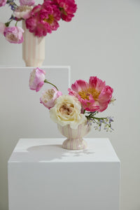 Design Shop Robbi Compote 4.75"x 4", Set of 2