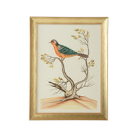 Chelsea House Watercolor Birds B