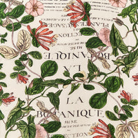 Design Shop Honeysuckle Print Long Kimono - Viscose/Modal