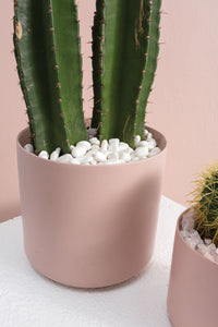 Design Shop White Natural Stones, 4.5" X 6.5".