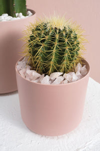 Design Shop Rose Quartz Pebbles 37oz