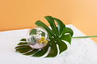 Design Shop Rose Quartz Pebbles 37oz