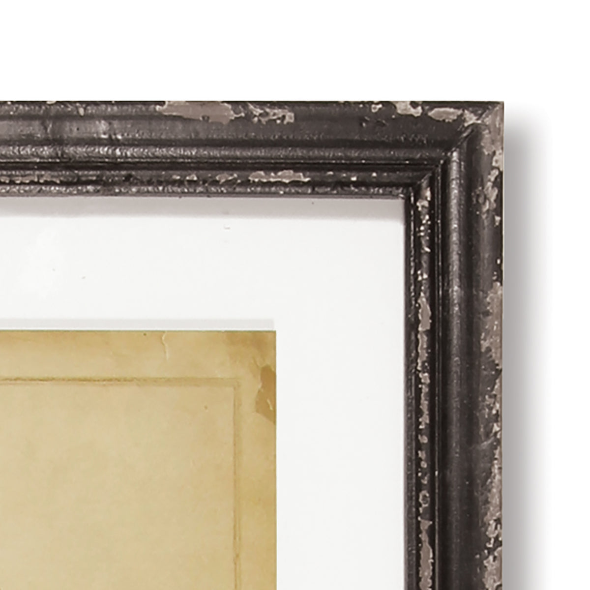 Design Shop Framed Vintage Fern Prints, Set Of 8